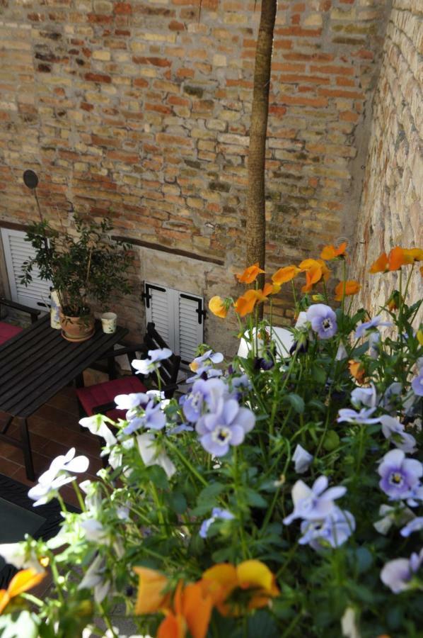 B&B Albornoz Ουρμπίνο Εξωτερικό φωτογραφία